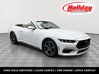 Used 2024 Ford Mustang Premium video 1