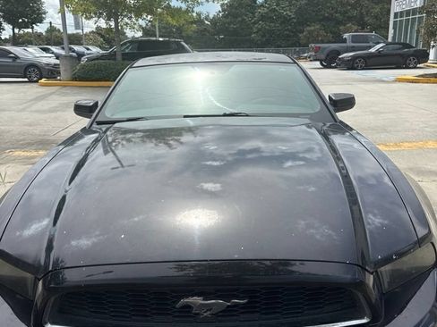 Used 2014 Ford Mustang Premium RWD image 1