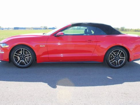 Used 2019 Ford Mustang GT Premium w/ Equipment Group 401A image 4
