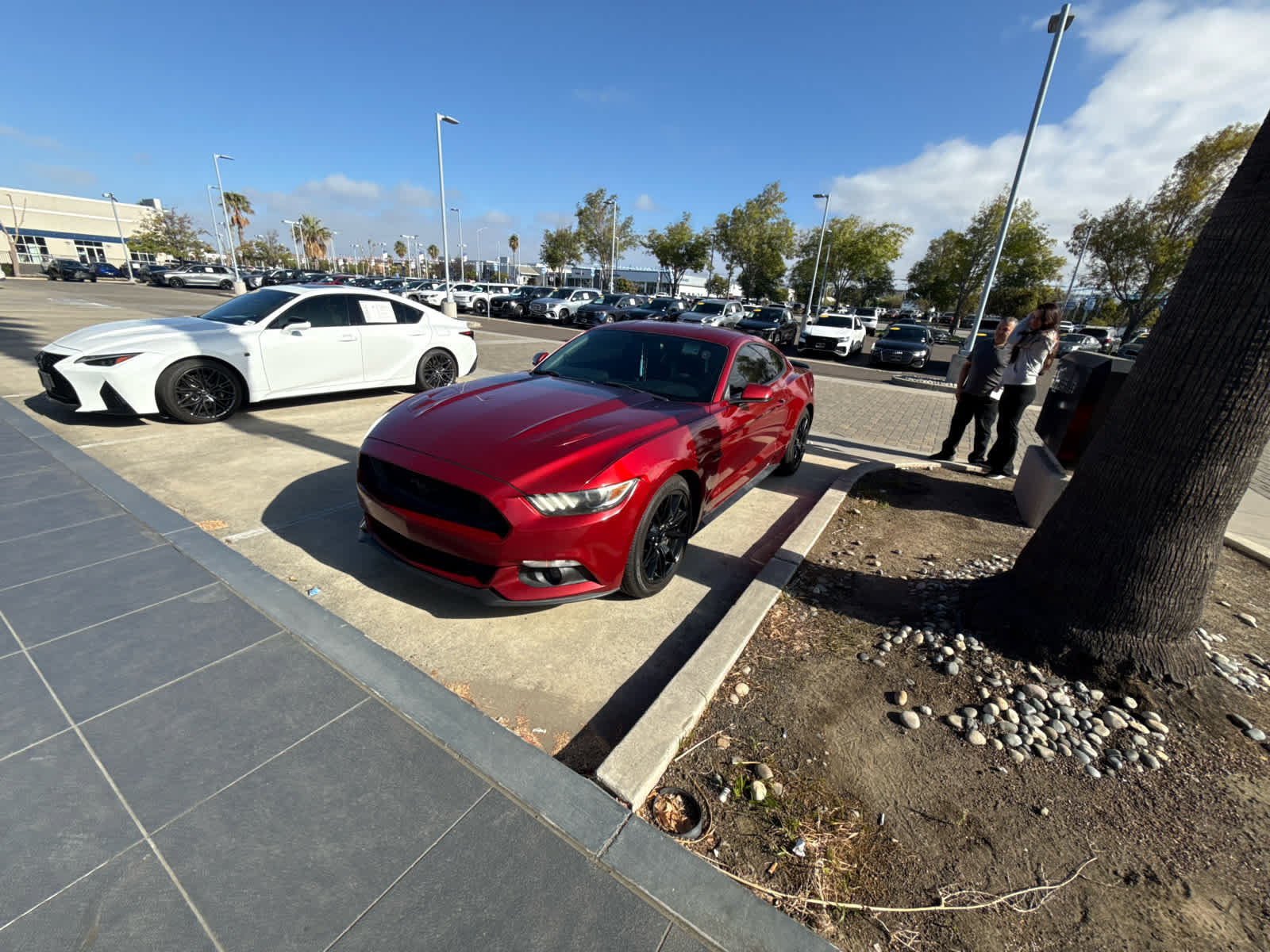 Used 2017 Ford Mustang GT Premium w/ Black Accent Package RWD image 3