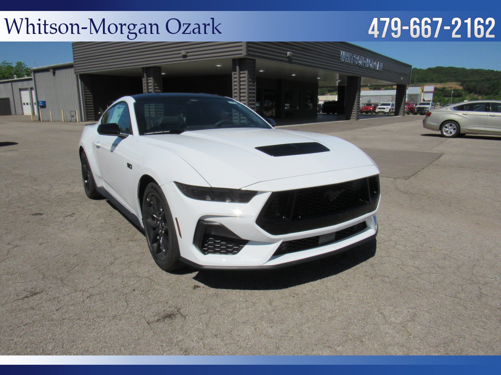 New 2026 Ford Mustang GT w/ Mustang Nite Pony Package RWD image 21
