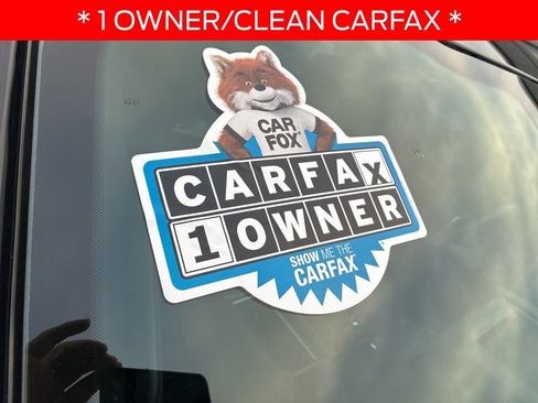 Used 2020 Ford F150 XLT w/ Equipment Group 302A Luxury image 6