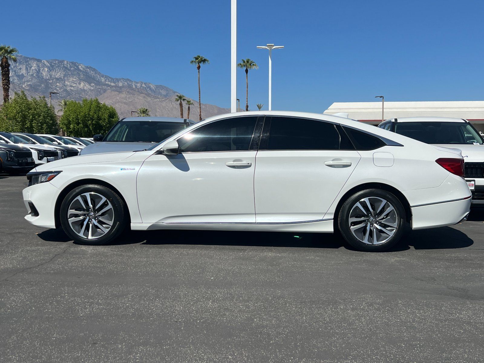 Used 2022 Honda Accord EX-L image 6