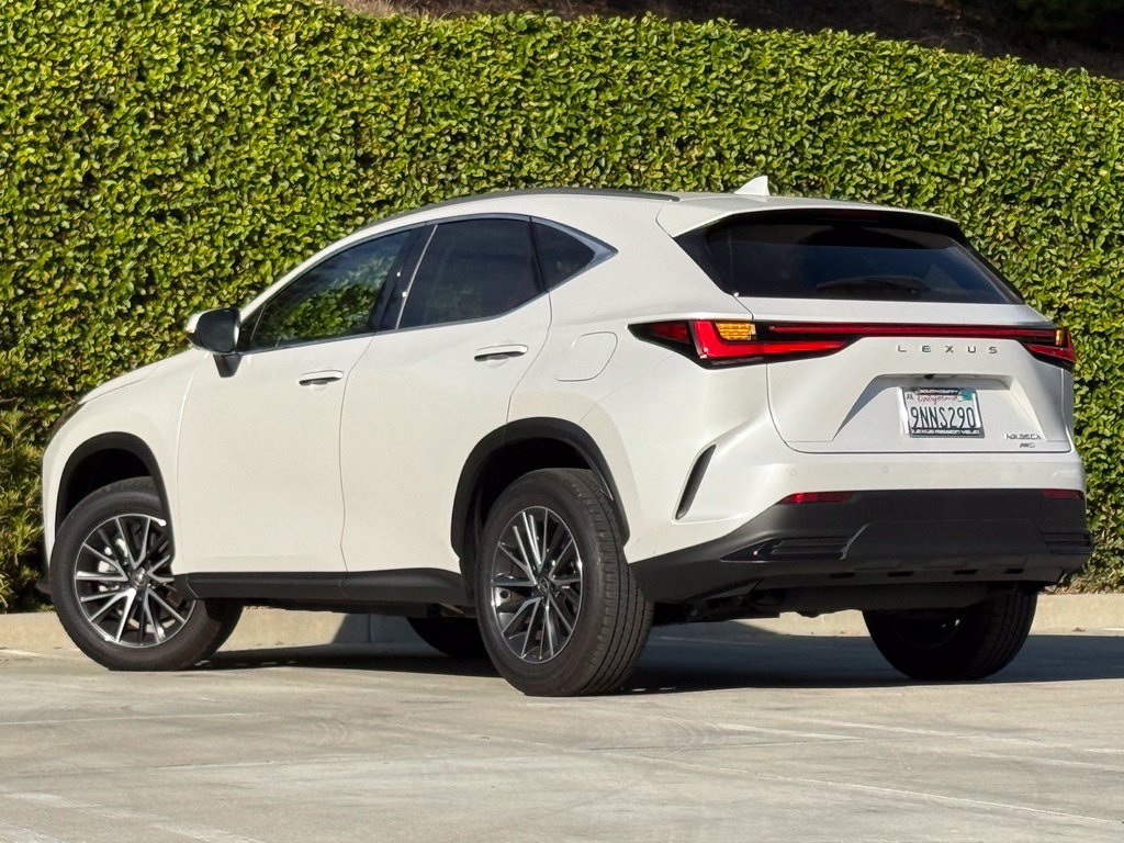 Certified 2025 Lexus NX 350h AWD w/ Cold Area Package image 2