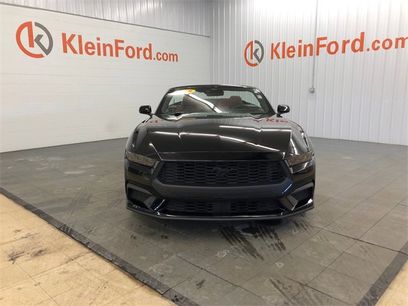 Used 2025 Ford Mustang Premium