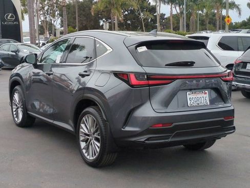 Used 2025 Lexus NX 350h AWD w/ Cold Area Package image 7