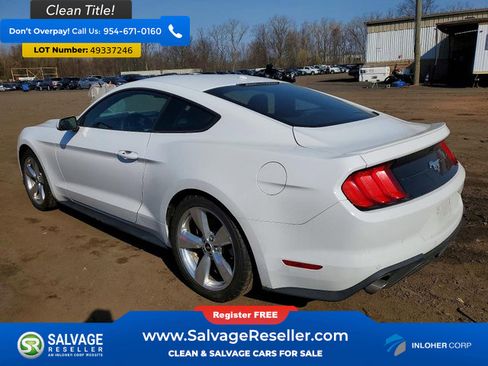Used 2019 Ford Mustang Coupe w/ Equipment Group 101A image 3