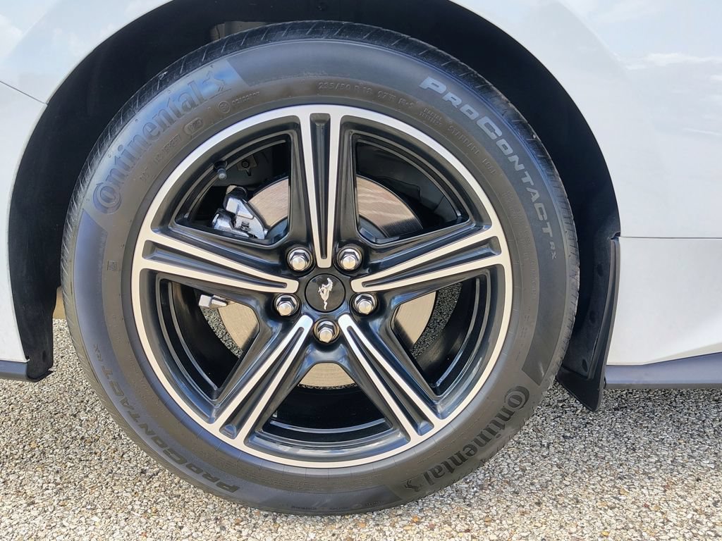 Used 2025 Ford Mustang Premium RWD image 12