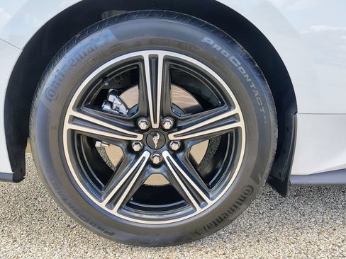 Used 2025 Ford Mustang Premium RWD image 12