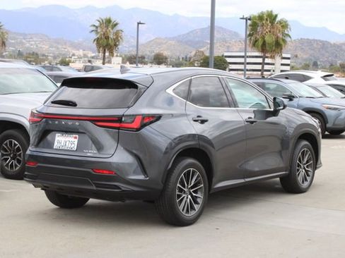 Certified 2024 Lexus NX 350h AWD w/ Cold Area Package image 21