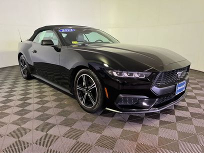 Used 2024 Ford Mustang Premium