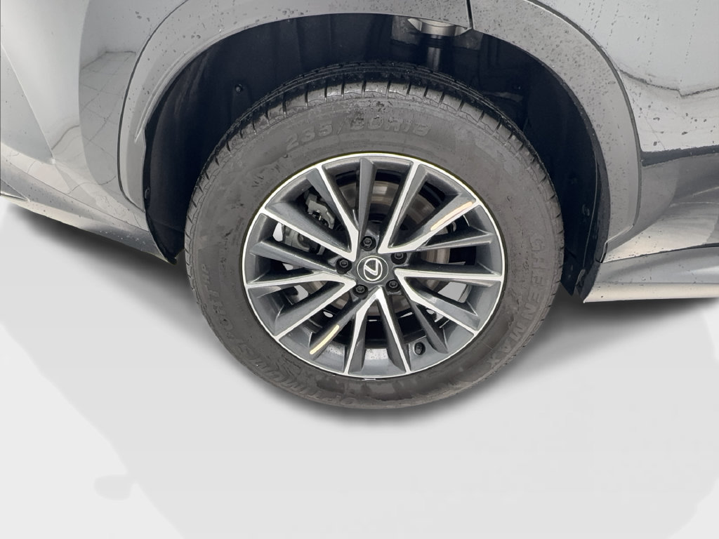 Used 2025 Lexus NX 250 FWD w/ Cold Area Package image 16