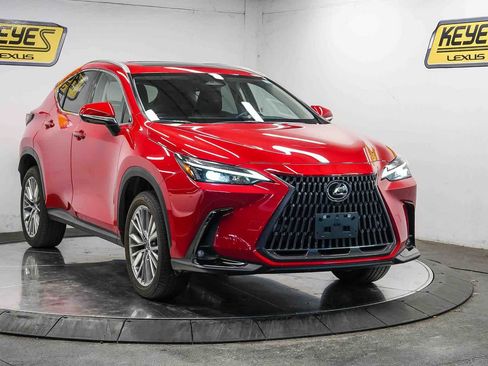 Used 2025 Lexus NX 350 AWD w/ Cold Area Package image 5