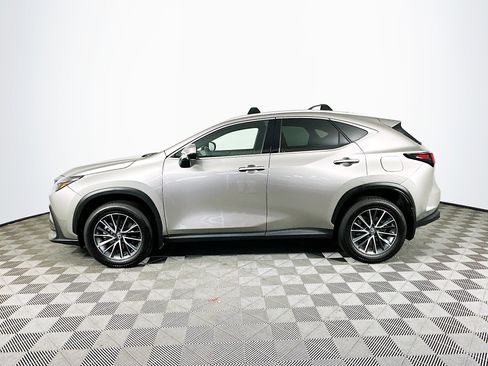 Used 2025 Lexus NX 350h AWD w/ Premium Package image 4
