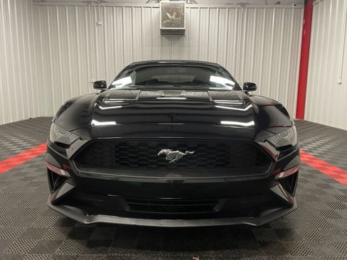 Used 2019 Ford Mustang Premium image 10