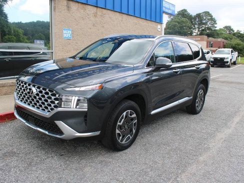 Used 2023 Hyundai Santa Fe Blue AWD/4WD image 3