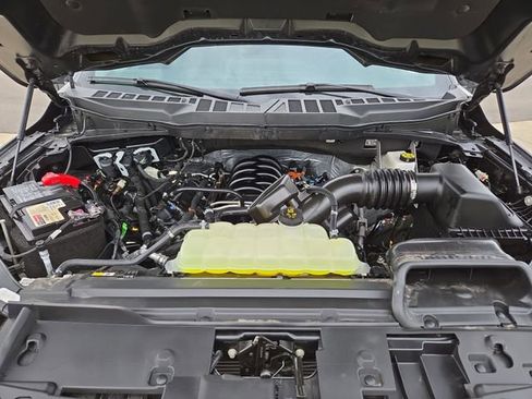Used 2025 Ford F150 XLT w/ Equipment Group 301A Standard AWD/4WD image 35