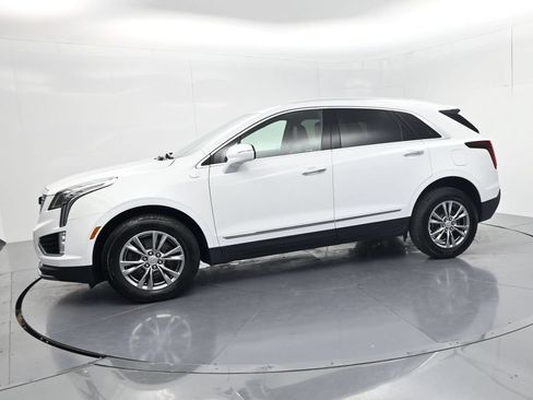 Used 2021 Cadillac XT5 Premium Luxury AWD/4WD image 4
