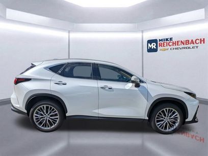 Used 2025 Lexus NX 350h AWD w/ Cold Area Package