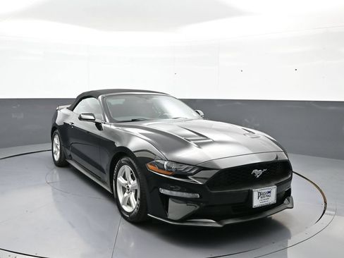 Used 2019 Ford Mustang Convertible RWD image 3