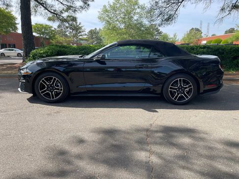 Used 2023 Ford Mustang Premium image 5