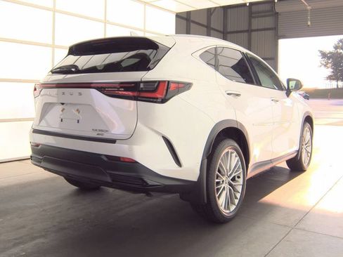 Used 2025 Lexus NX 350h AWD w/ Rear Seat Package image 3
