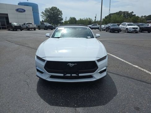 Used 2025 Ford Mustang Premium RWD image 8