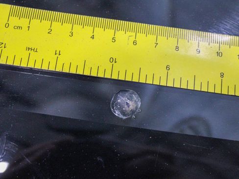 Used 1999 Dodge Dakota Sport image 32