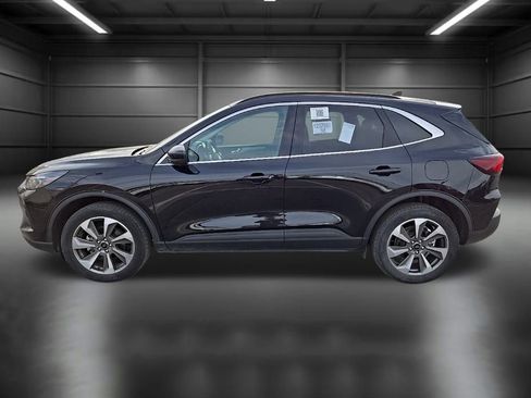 Used 2024 Ford Escape Platinum image 3