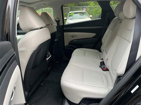 New 2024 Hyundai Tucson Limited image 9