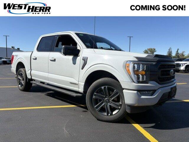 Used 2023 Ford F150 XLT w/ Equipment Group 302A High AWD/4WD image 1