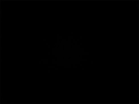 Used 2021 Honda Accord Sport Special Edition image 32