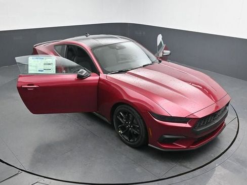 New 2026 Ford Mustang Coupe w/ Mustang Nite Pony Package RWD image 32