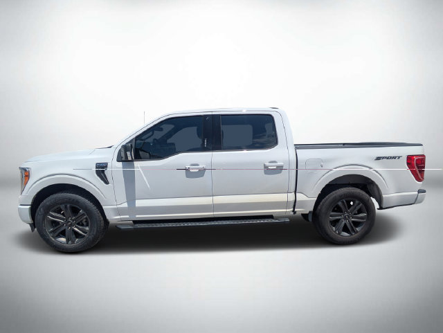 Used 2023 Ford F150 XLT w/ Equipment Group 302A High RWD image 7