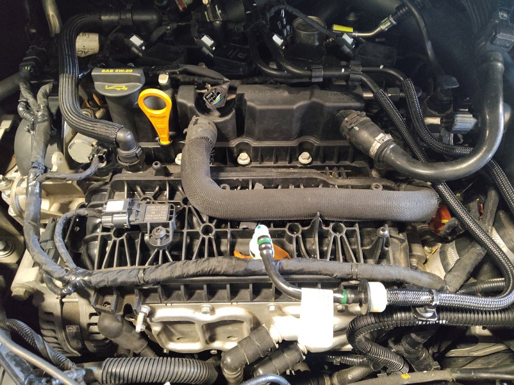 Used 2019 Ford Escape SEL FWD image 30