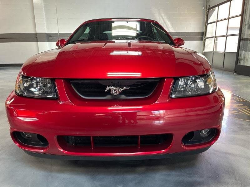 Used 2003 Ford Mustang Cobra RWD image 5