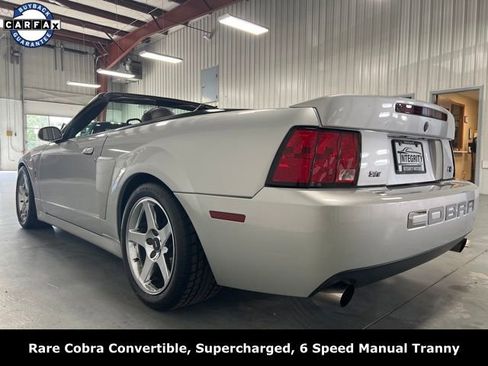 Used 2004 Ford Mustang Cobra RWD image 6
