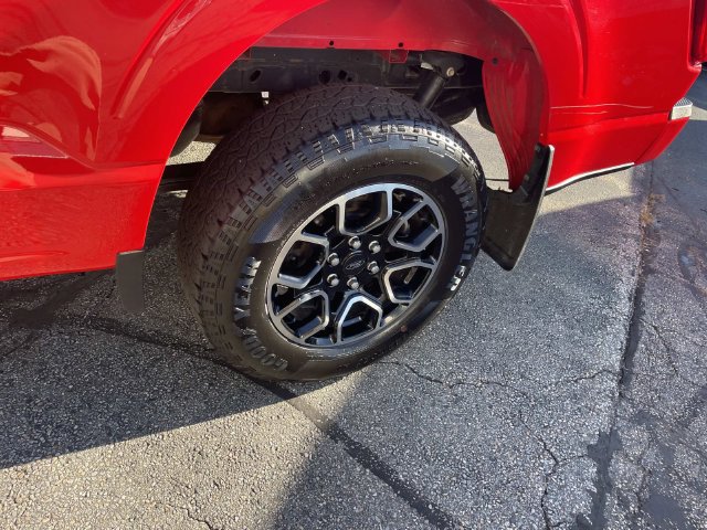 Used 2023 Ford F150 XLT w/ Equipment Group 302A High AWD/4WD image 13