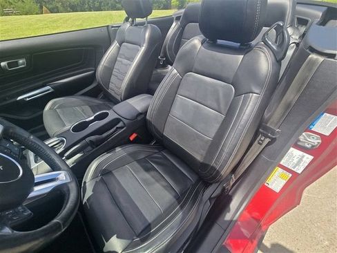 Used 2019 Ford Mustang GT Premium w/ GT Performance Package RWD image 11