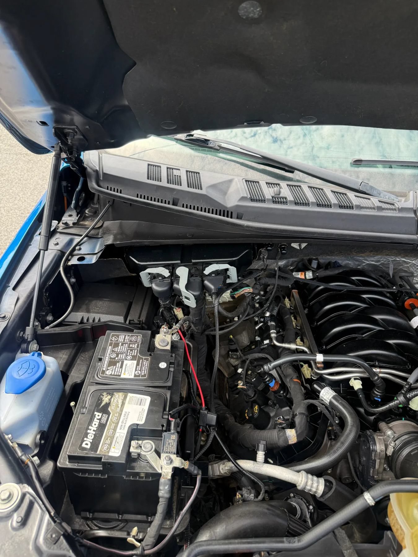 Used 2019 Ford F150 XLT w/ Equipment Group 302A Luxury AWD/4WD image 12