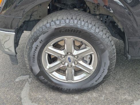 Used 2025 Ford F150 XLT w/ Equipment Group 301A Standard AWD/4WD image 14
