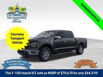 New 2025 Ford F150 XLT w/ Equipment Group 302A MID