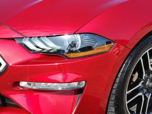 Used 2020 Ford Mustang Premium w/ Equipment Group 201A RWD image 5
