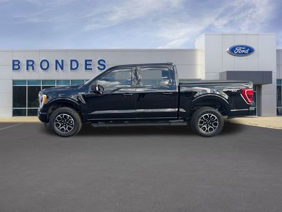 Used 2023 Ford F150 XLT w/ Equipment Group 302A High