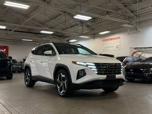 Used 2024 Hyundai Tucson Limited image 1