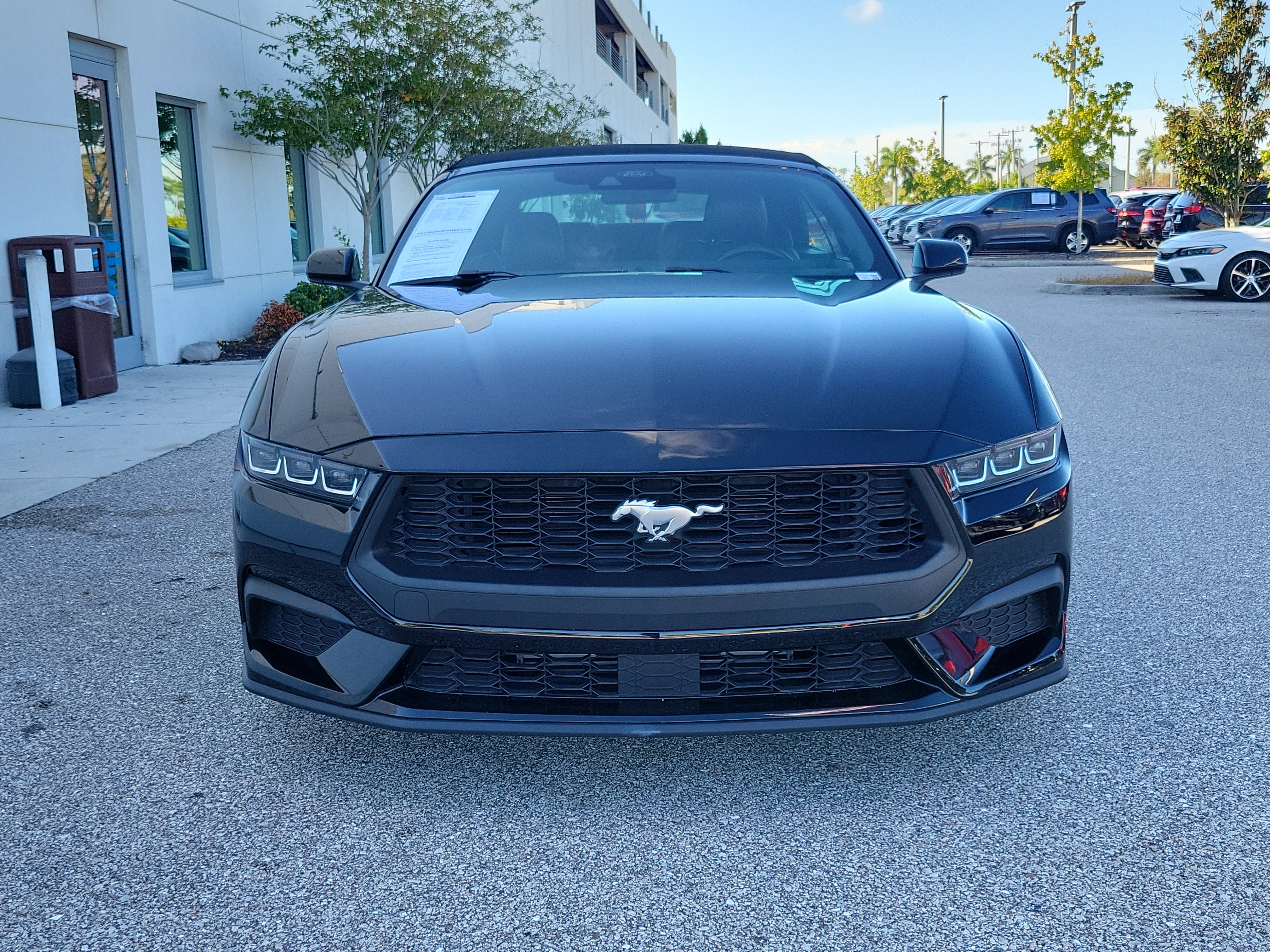 Used 2025 Ford Mustang Premium RWD image 2