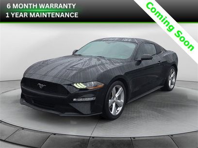 Used 2019 Ford Mustang Premium w/ Equipment Group 201A