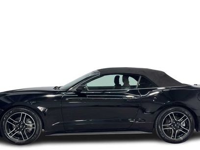 Used 2021 Ford Mustang Premium