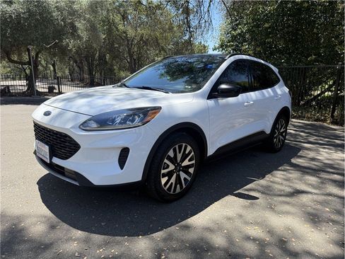 Used 2020 Ford Escape SE Sport AWD/4WD image 3