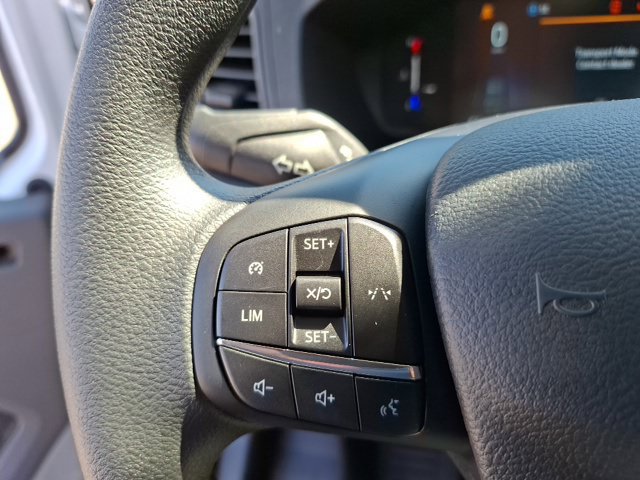 New 2027 Ford Transit 250 148 Medium Roof w/ Load Area Protection Package RWD image 19